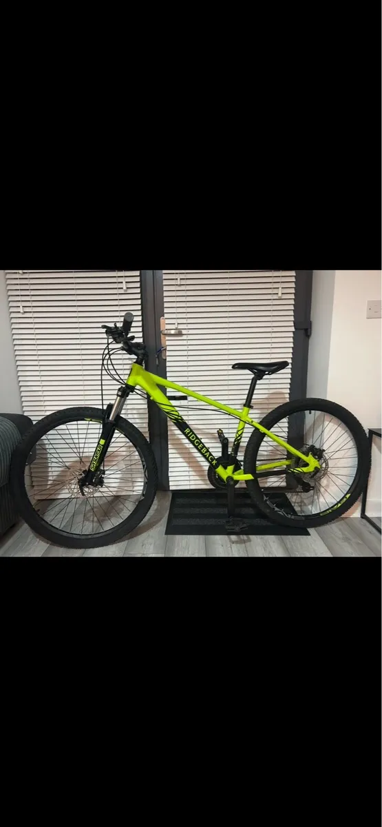 Ridgeback bicycle - Image 1