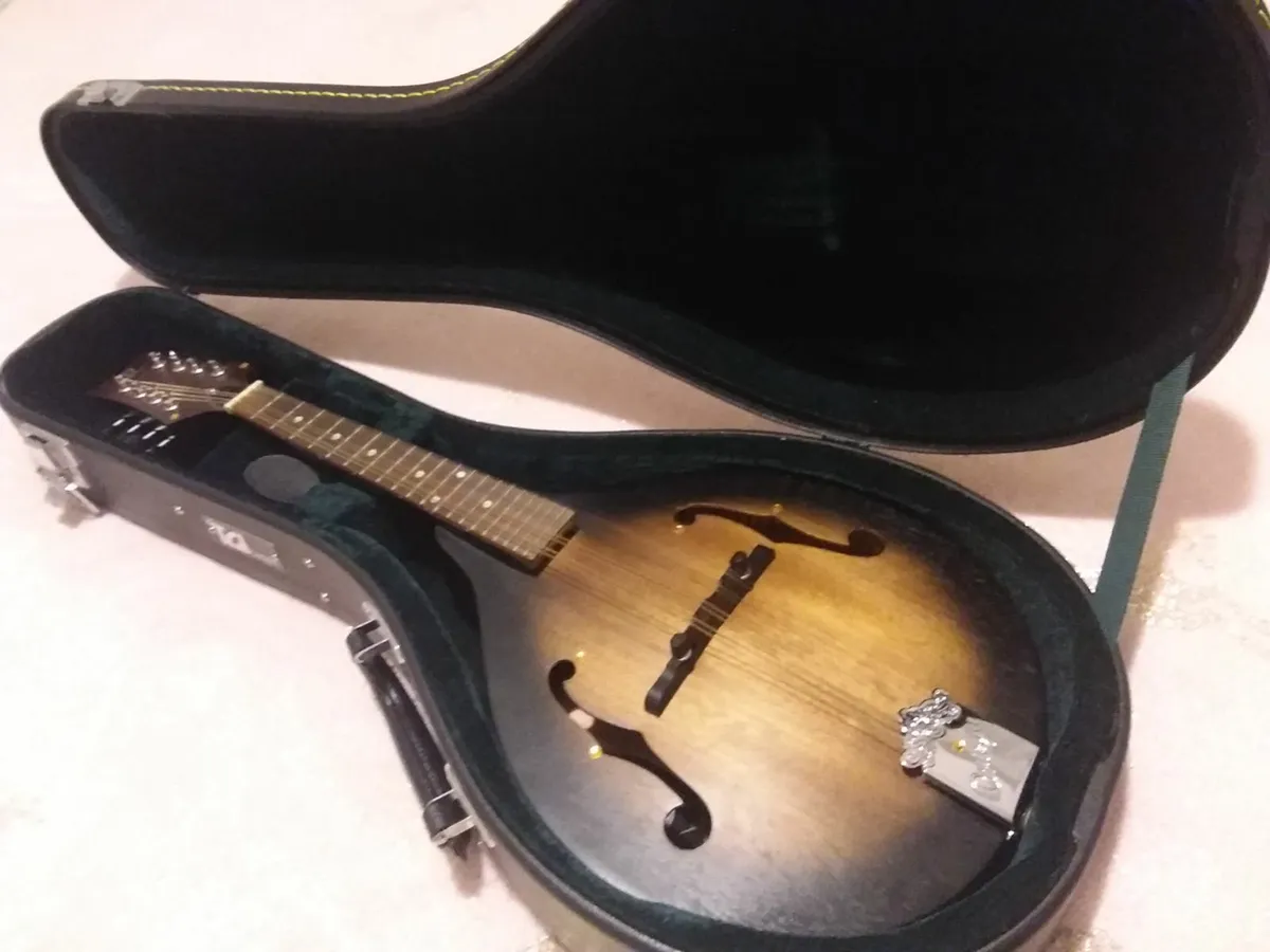 GERMAN MADE MANDOLIN ..UNUSED COMPLETE WITH CASE - Image 1