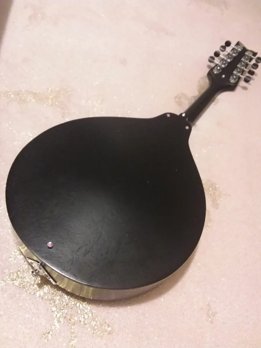 GERMAN MADE MANDOLIN ..UNUSED COMPLETE WITH CASE - Image 2