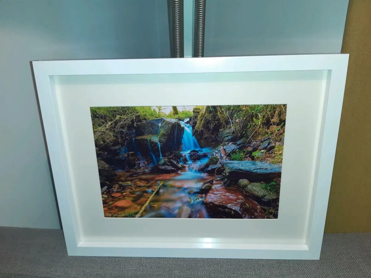 Curragh Woods, East Cork - Image 1