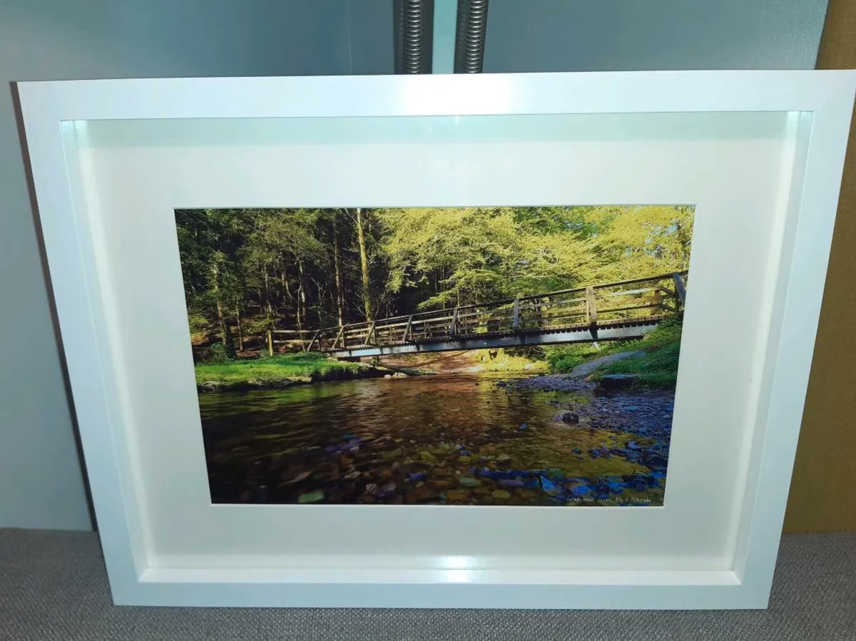 Curragh Woods, East Cork - Image 3