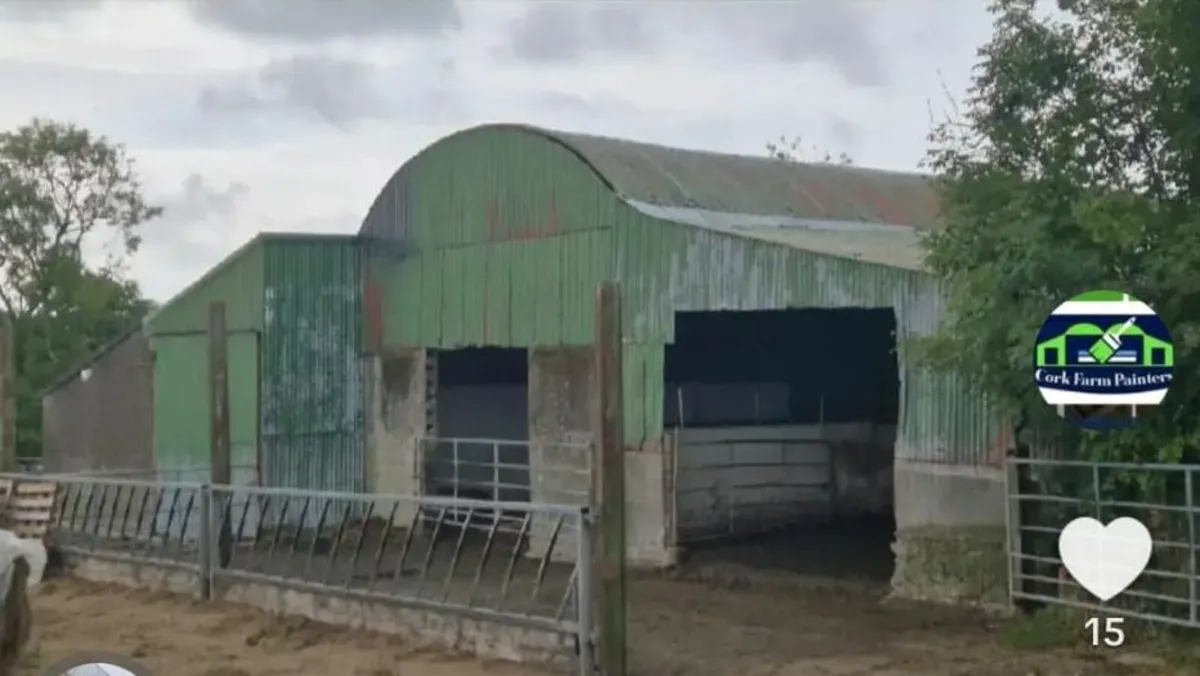 Munster Farm Shed Repairs - Image 2