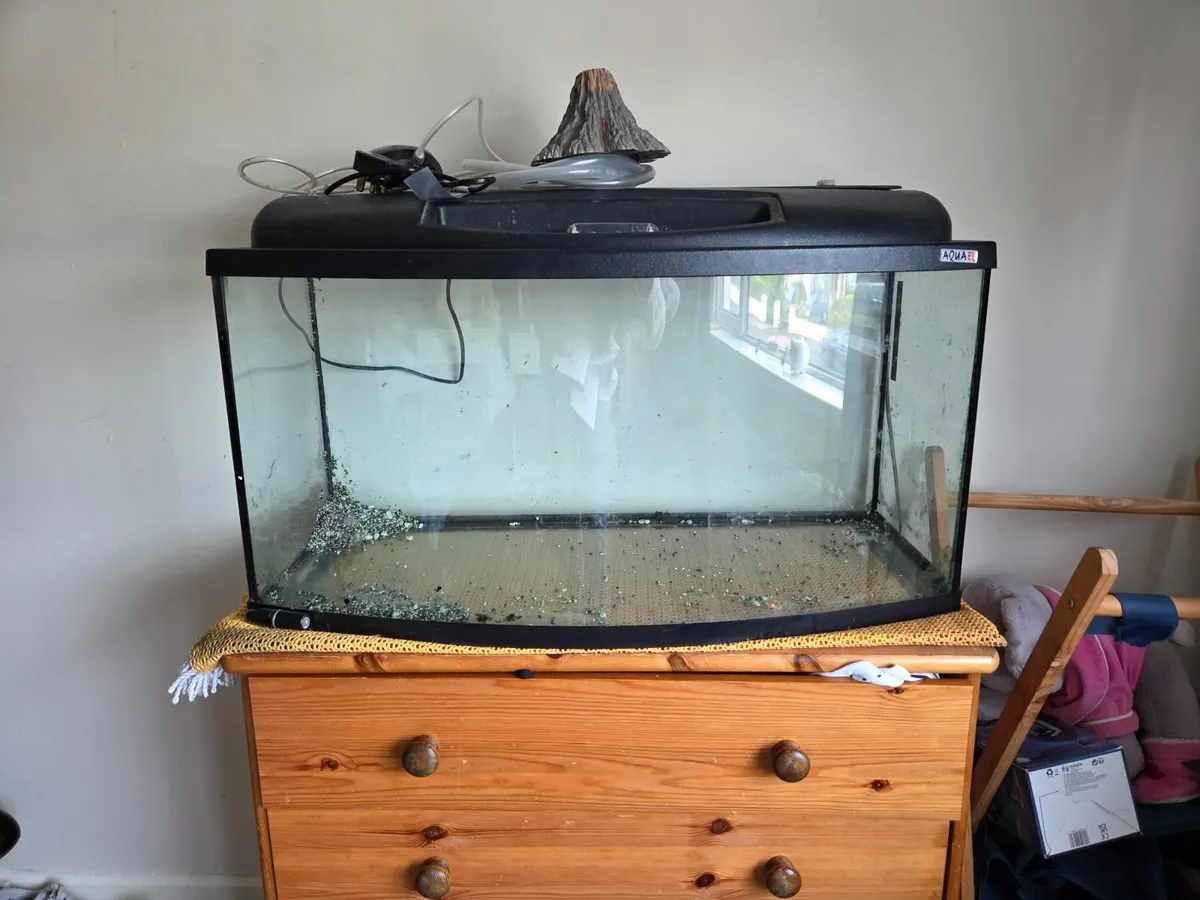 Fish Tank - Image 1