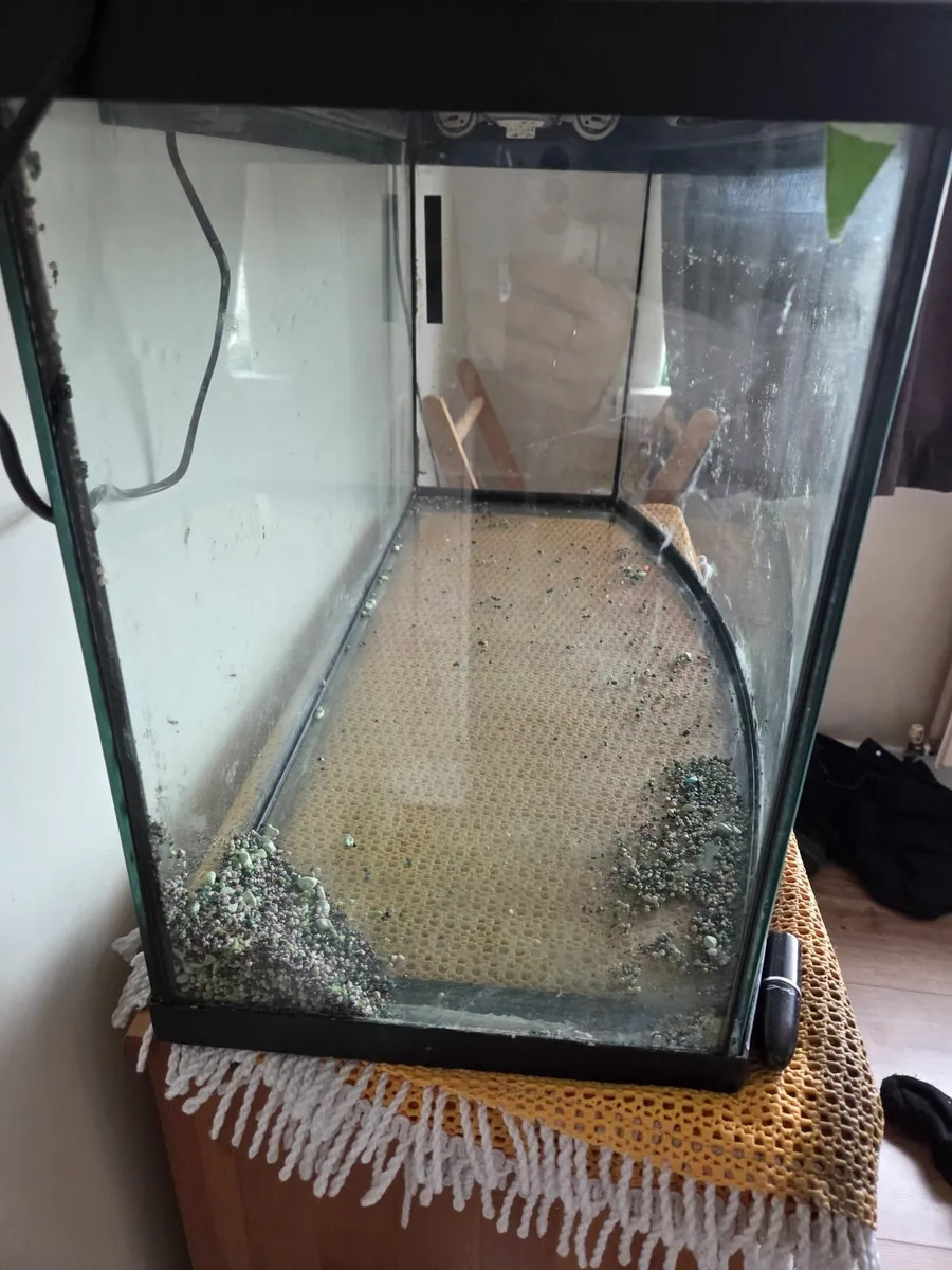 Fish Tank - Image 2