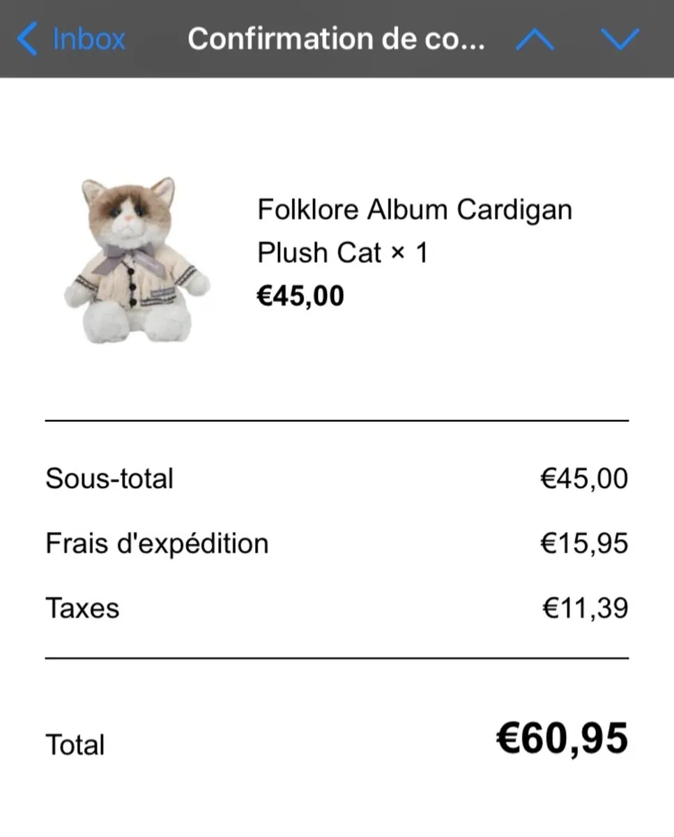 Taylor Swift Benji Folklore Cat New - Image 2