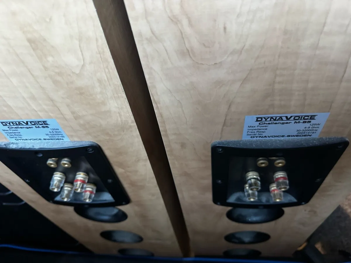 Audio Speakers - Image 3