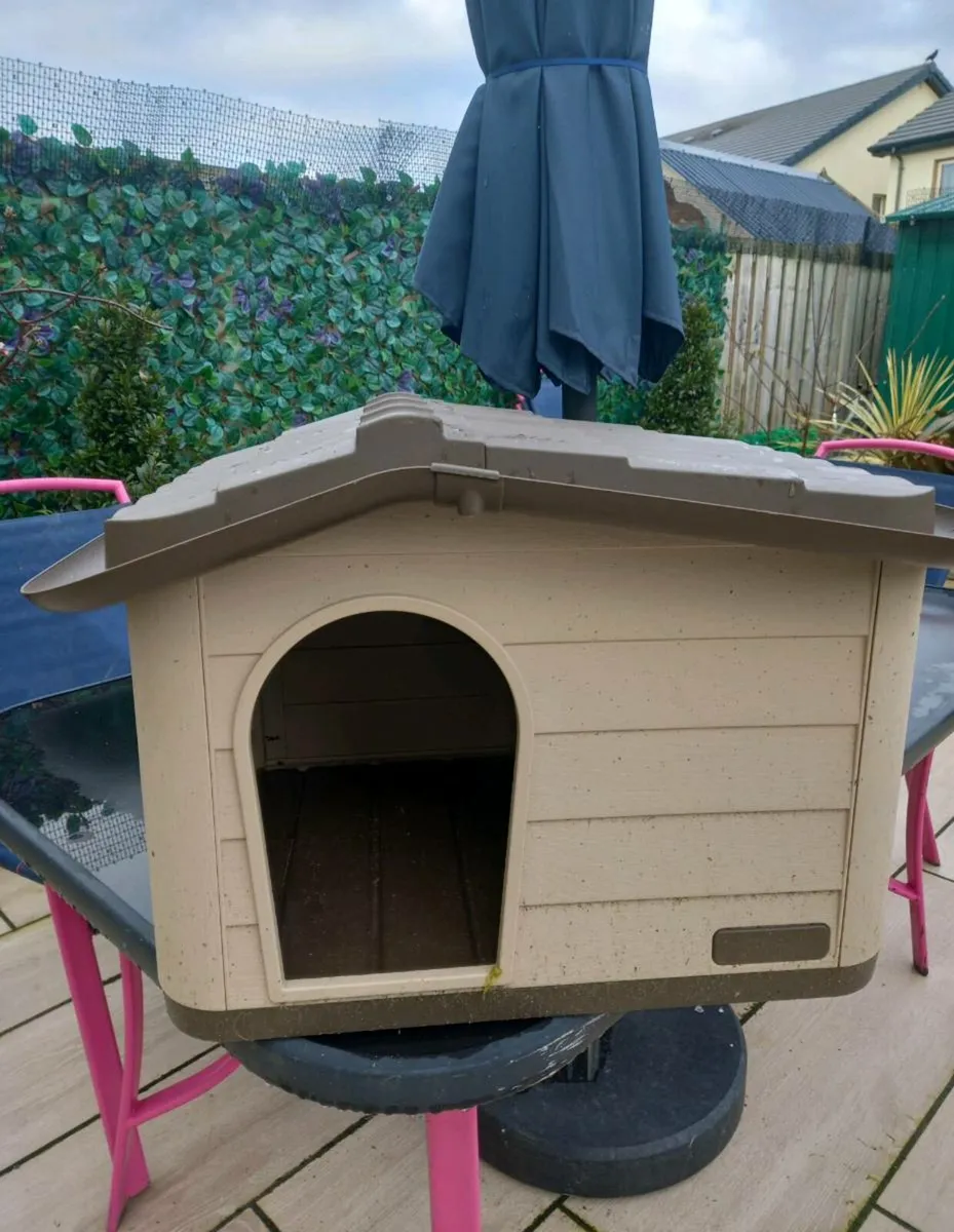 CAT HOUSE & ACCESSORIES - Image 3