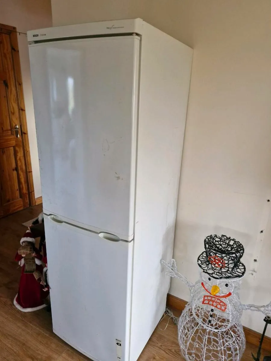 Fridge freezer - Image 1