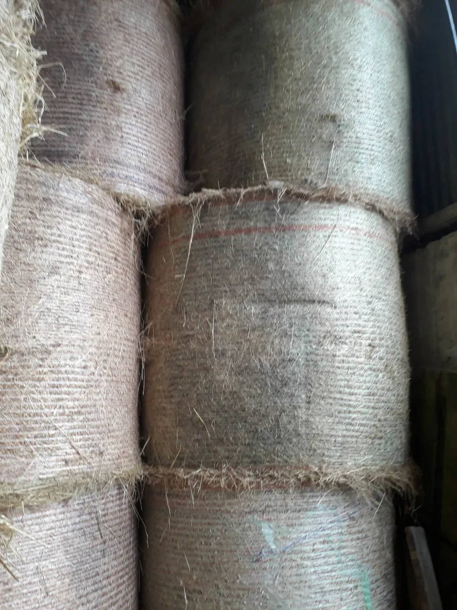 Hay Bales - Image 1
