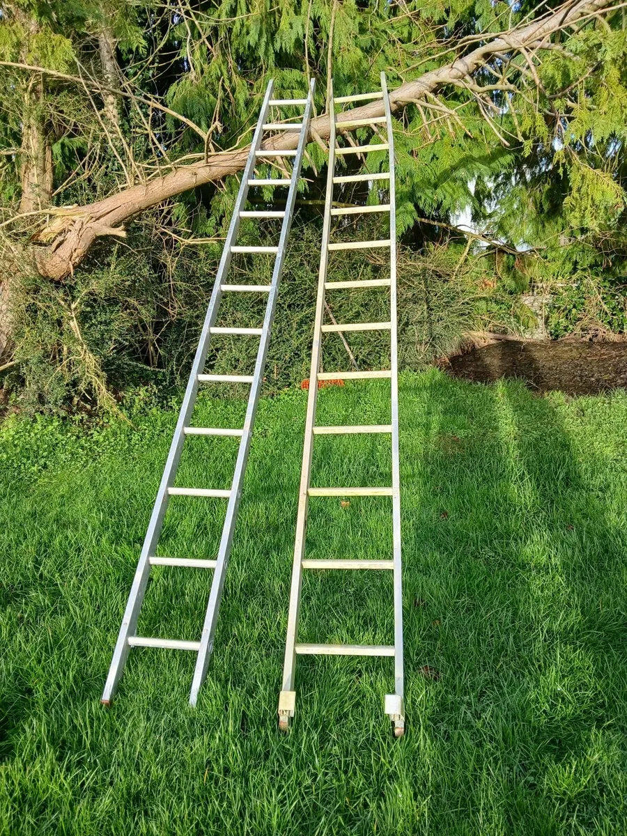 Ladders - Image 2