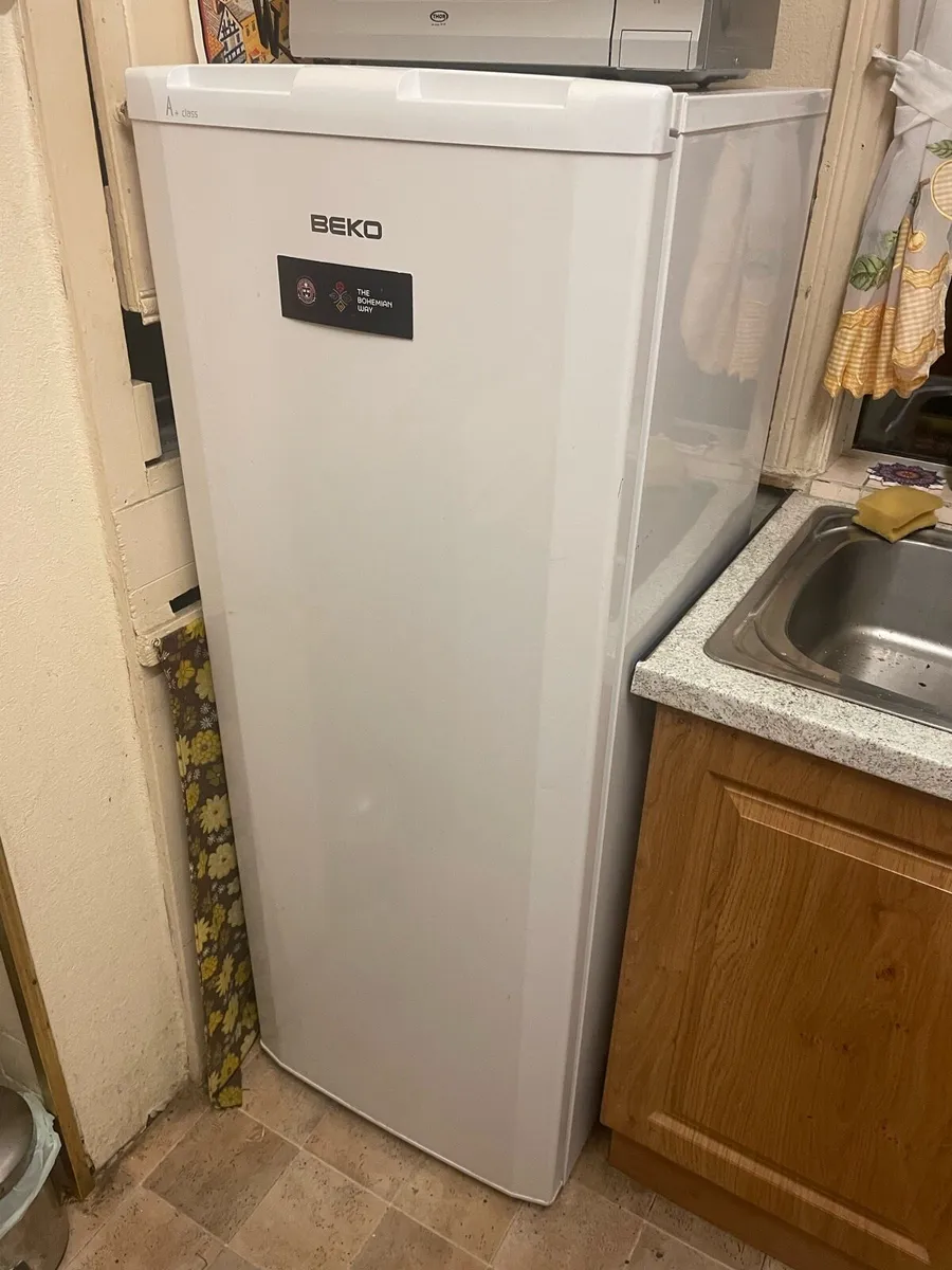 BEKO Fridge (A+ energy rating) - Cabra - Image 1