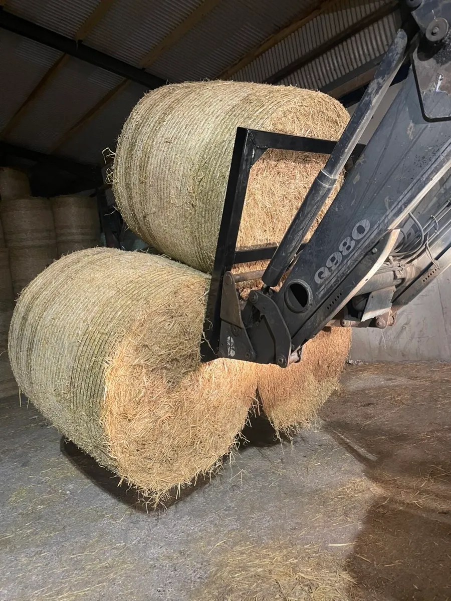 bale spike - Image 2