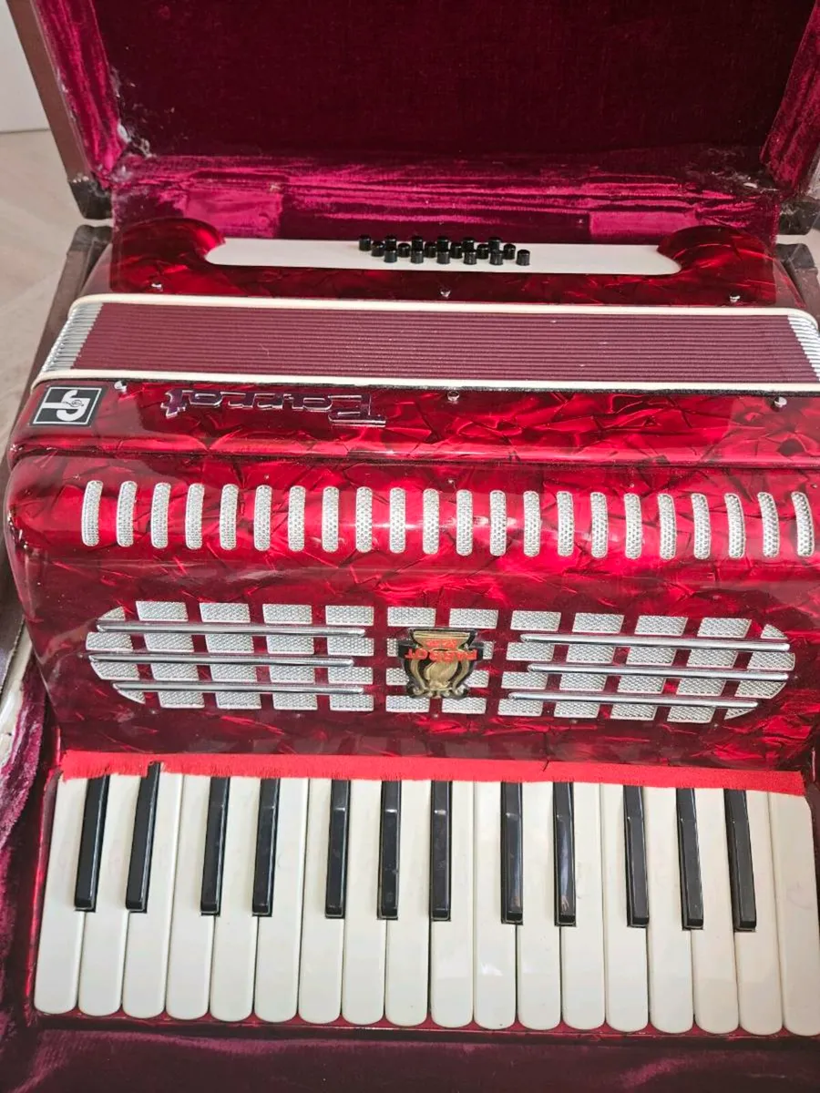Parrott Accordian - Image 1