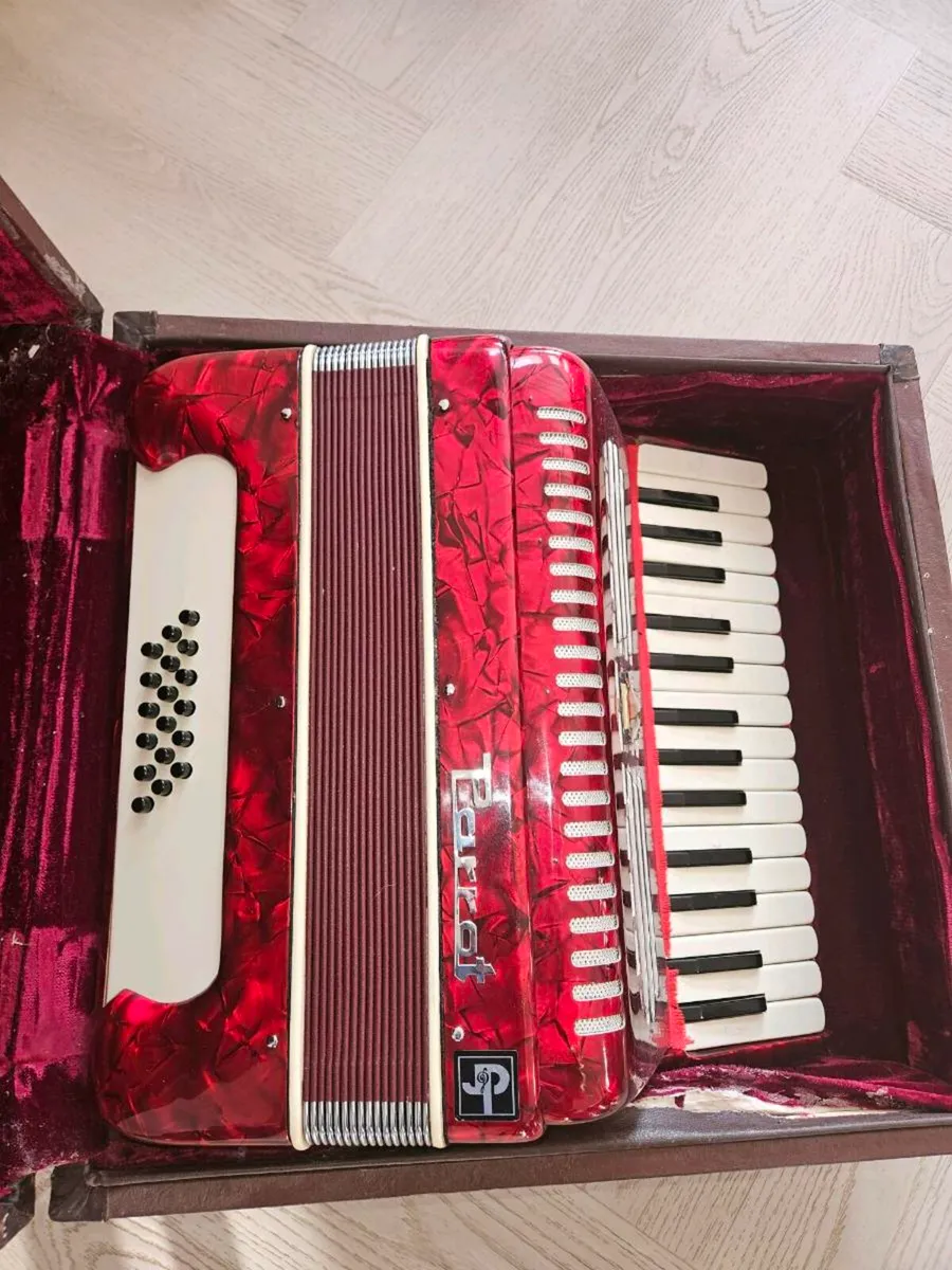 Parrott Accordian - Image 2