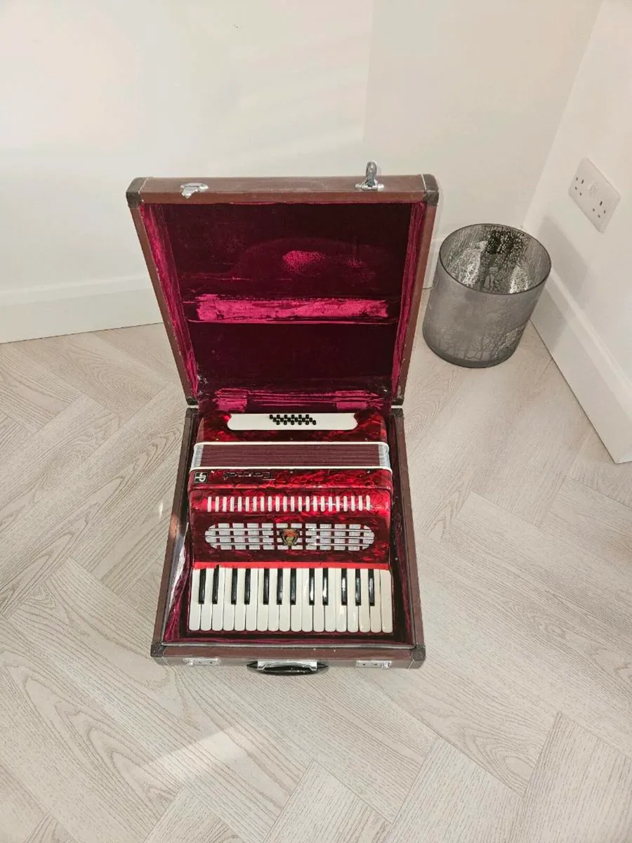Parrott Accordian - Image 3