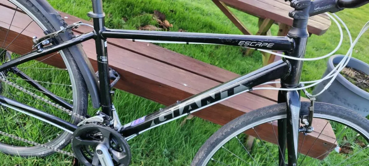 Giant Escape - Image 4