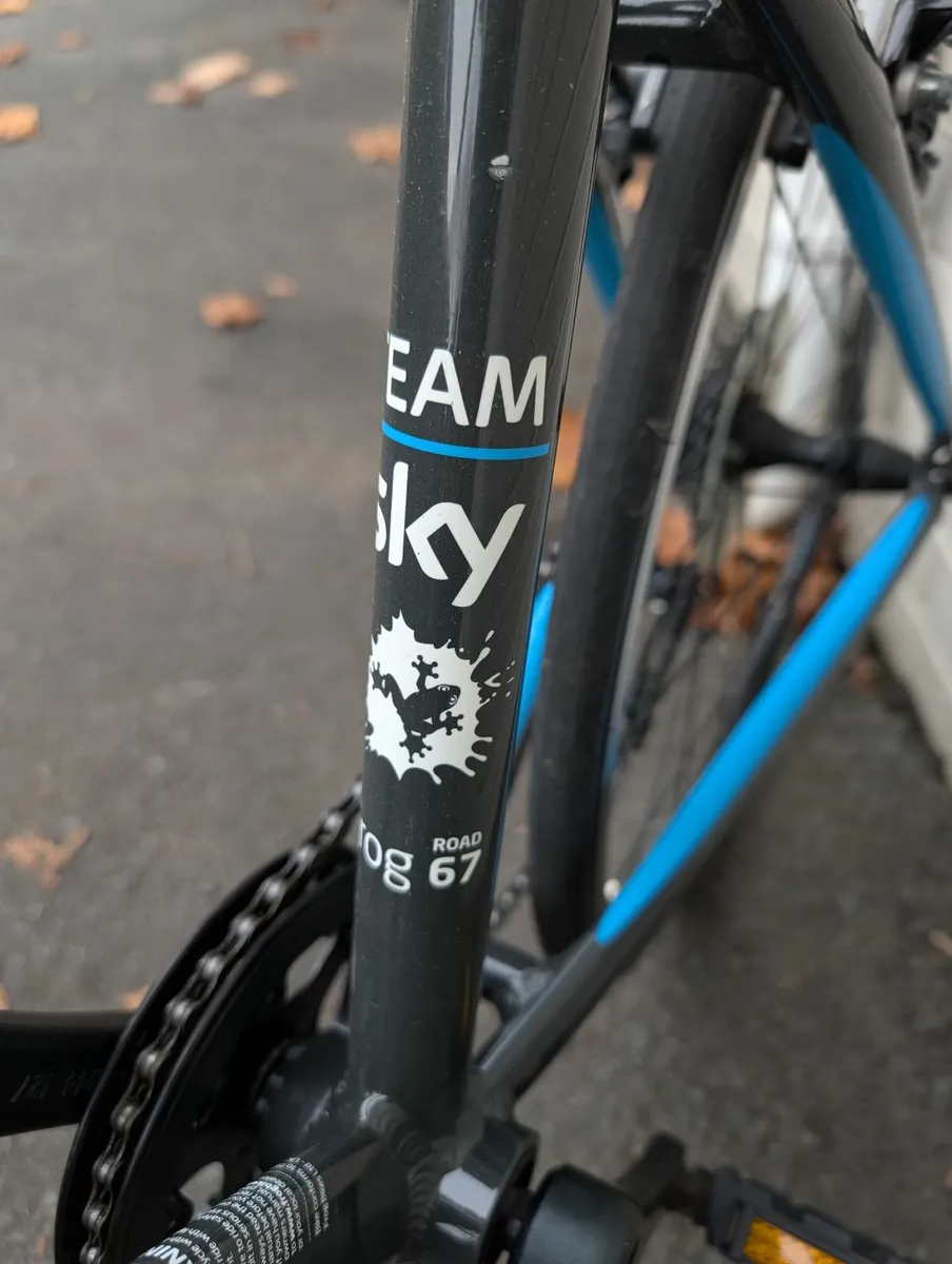 Frog Kids Racing Bike - Image 2