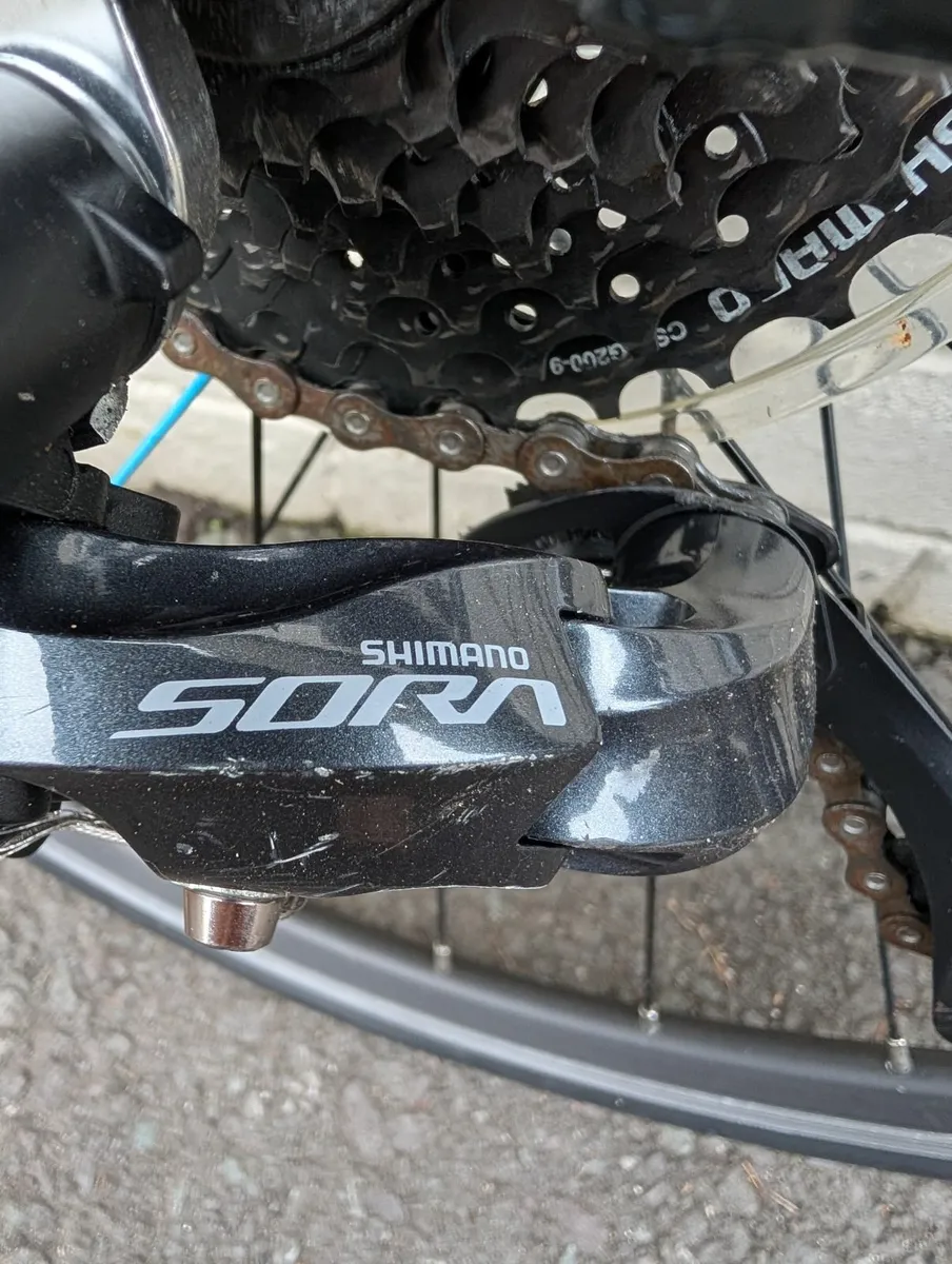 Frog Kids Racing Bike - Image 3