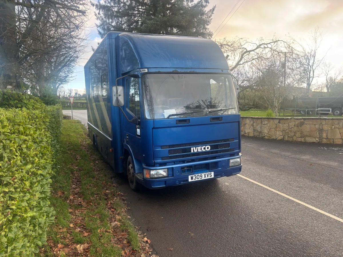 Iveco horse box - Image 3