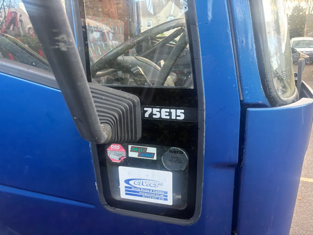 Iveco horse box - Image 4