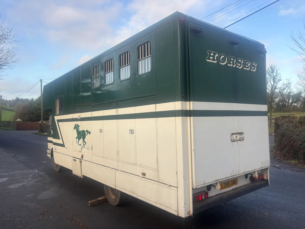 Horse box body - Image 4