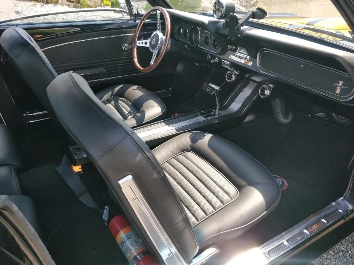 Shield - Fire Extinguisher for Your Classic Car - Image 1