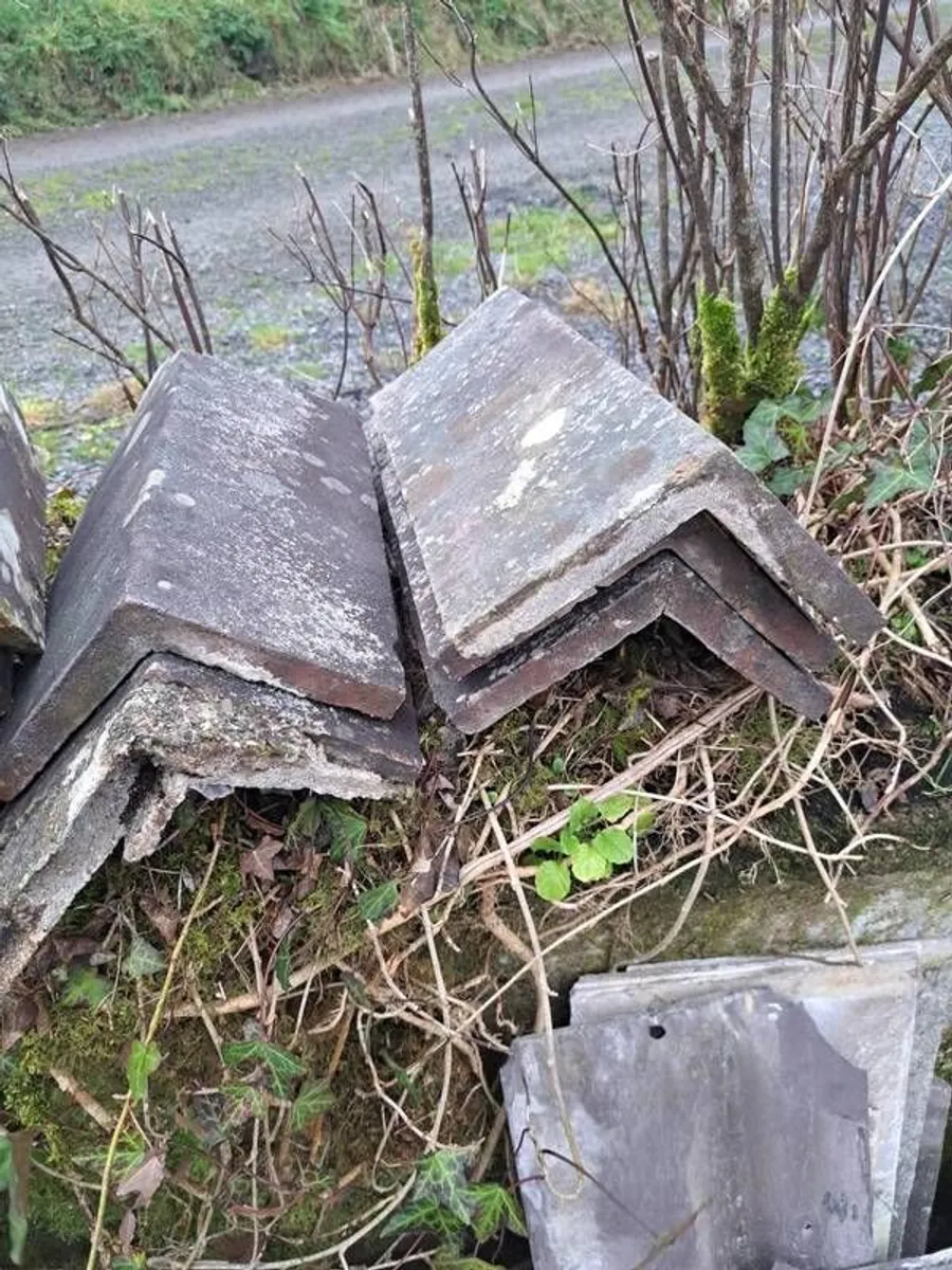 Blue Bangor Slates - Image 3