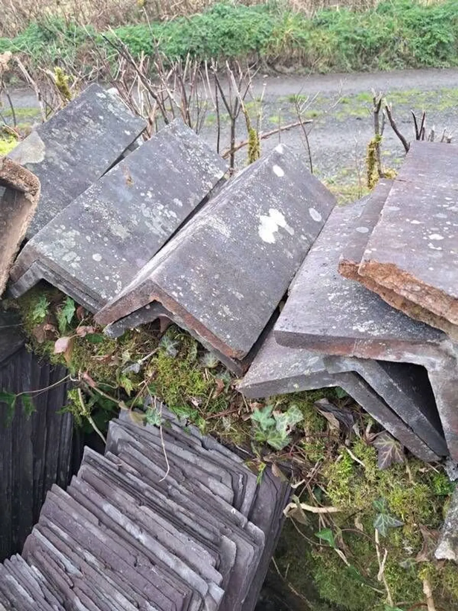 Blue Bangor Slates - Image 4