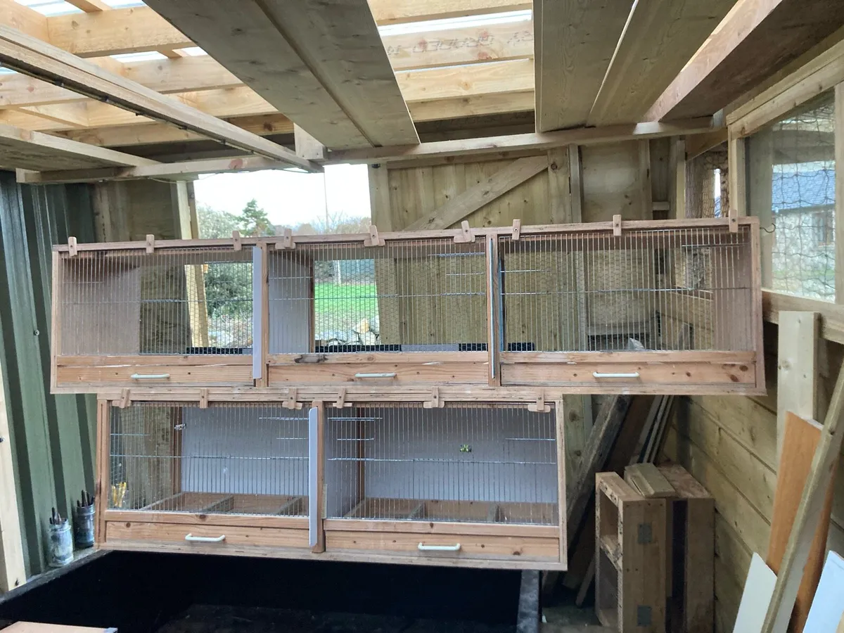 Breeding boxes - Image 1