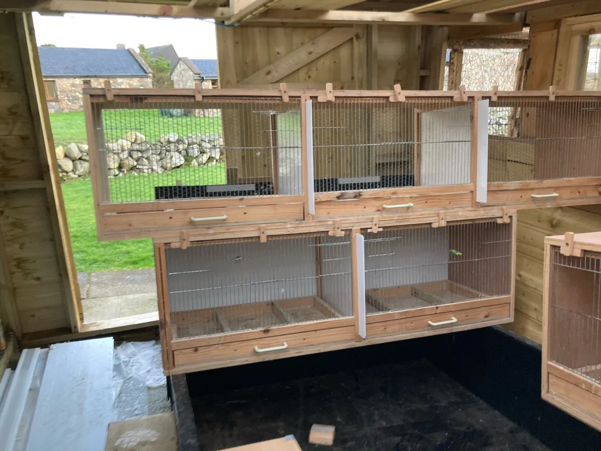 Breeding boxes - Image 2