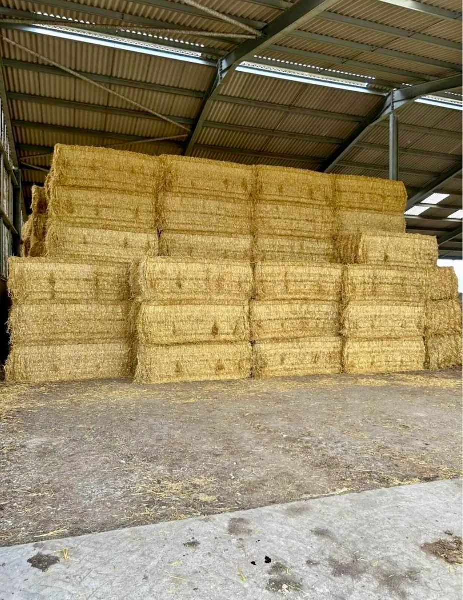 English & Spanish Straw - Ex Yard / Delivered - Image 1