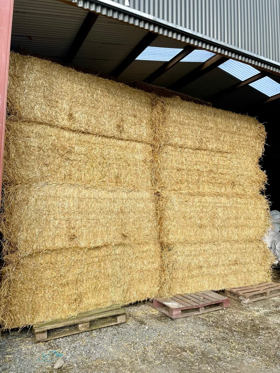 English & Spanish Straw - Ex Yard / Delivered - Image 2
