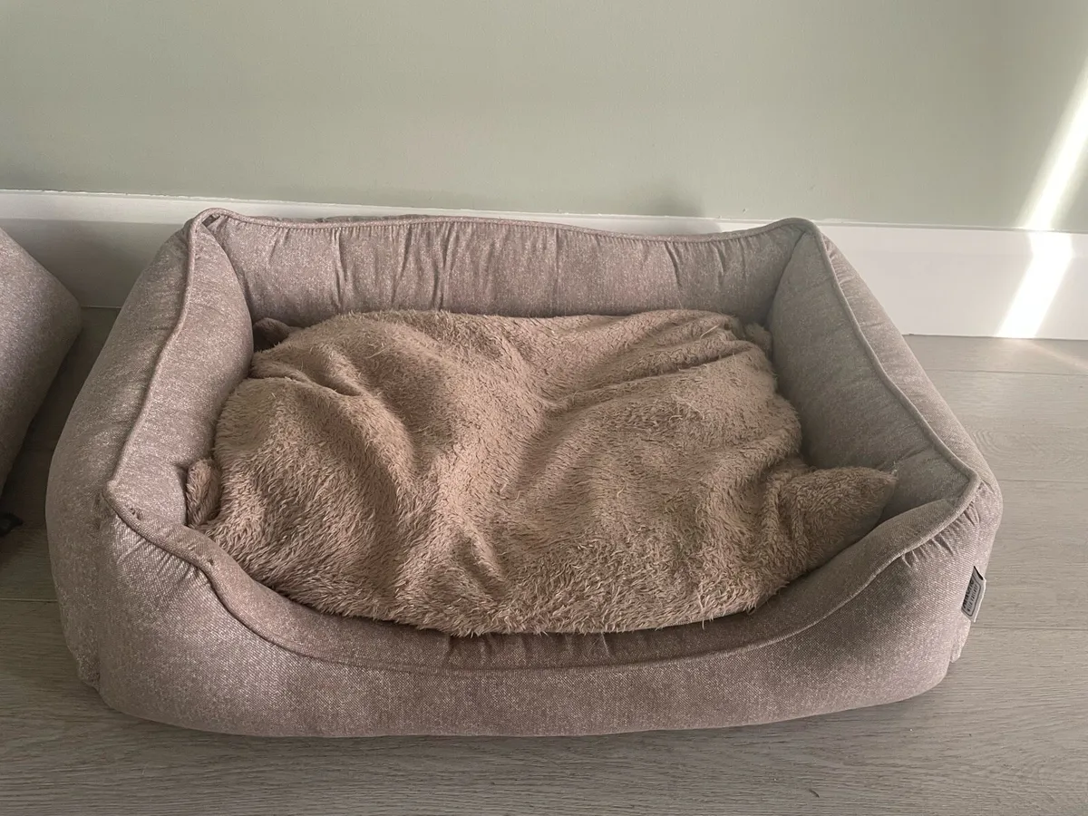 Dog bed