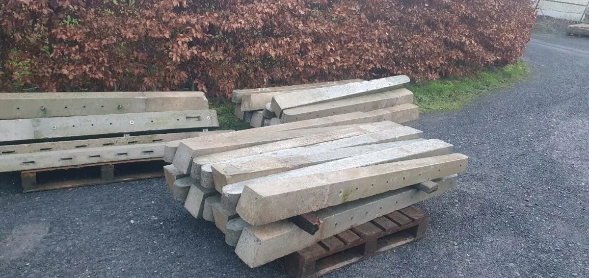 Concrete posts - Image 1