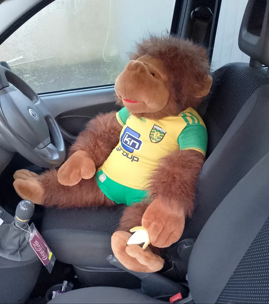 Large gorilla Donegal football team - Image 1
