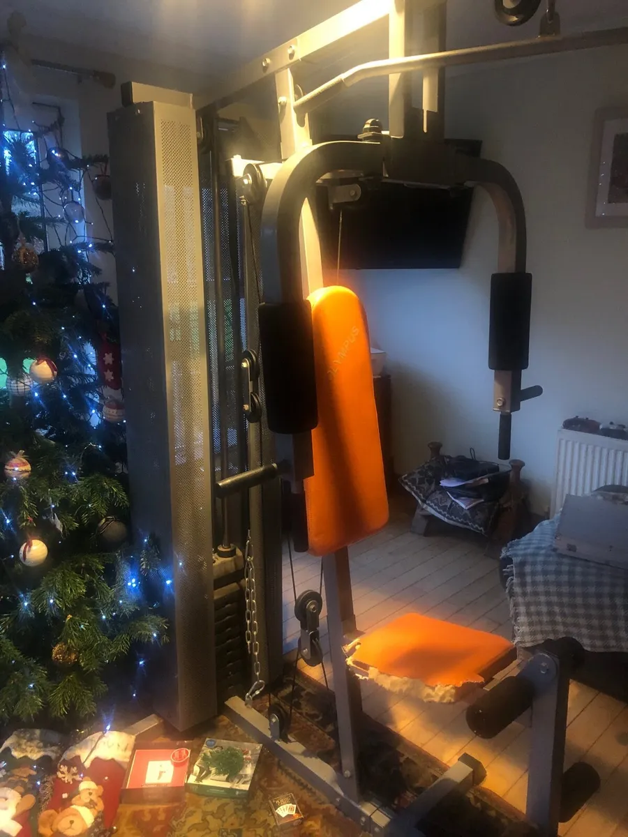 Gym Equipment - Image 2