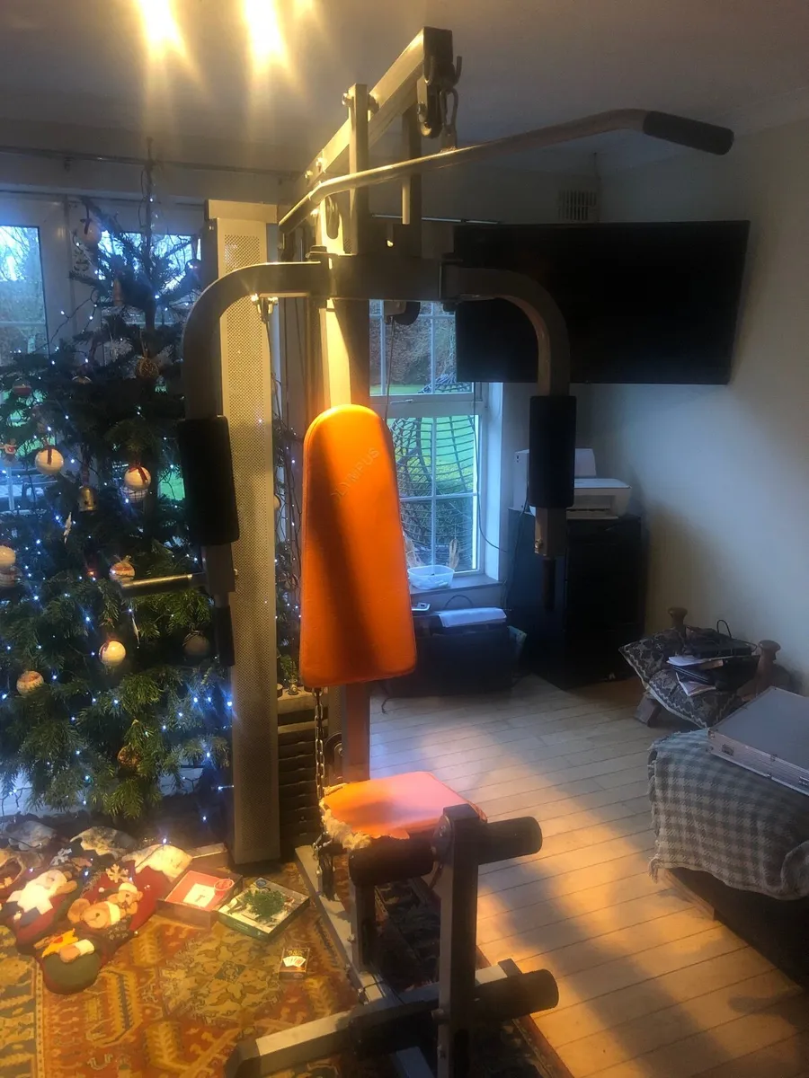 Gym Equipment - Image 3