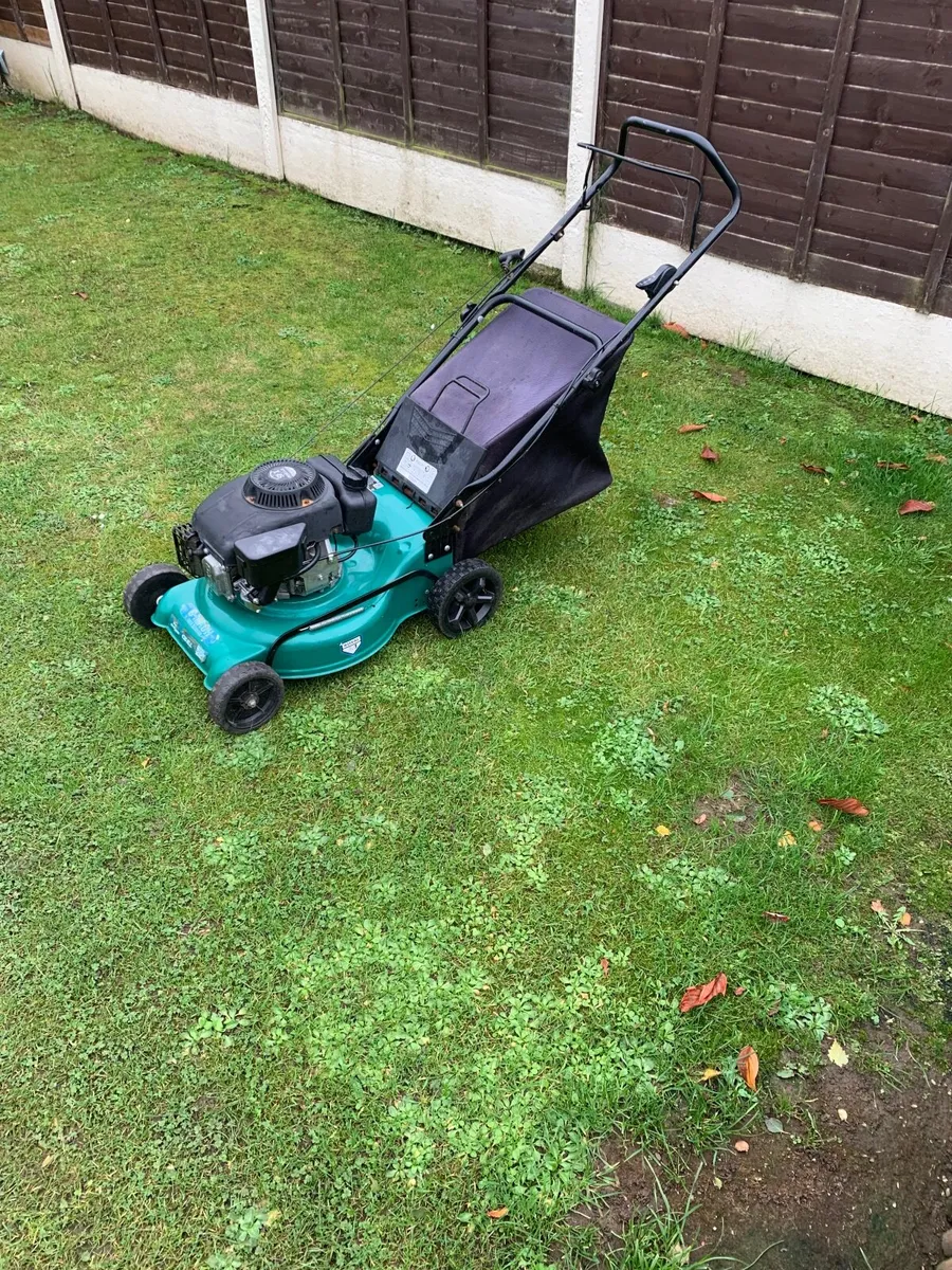 Lawnmower - Image 1