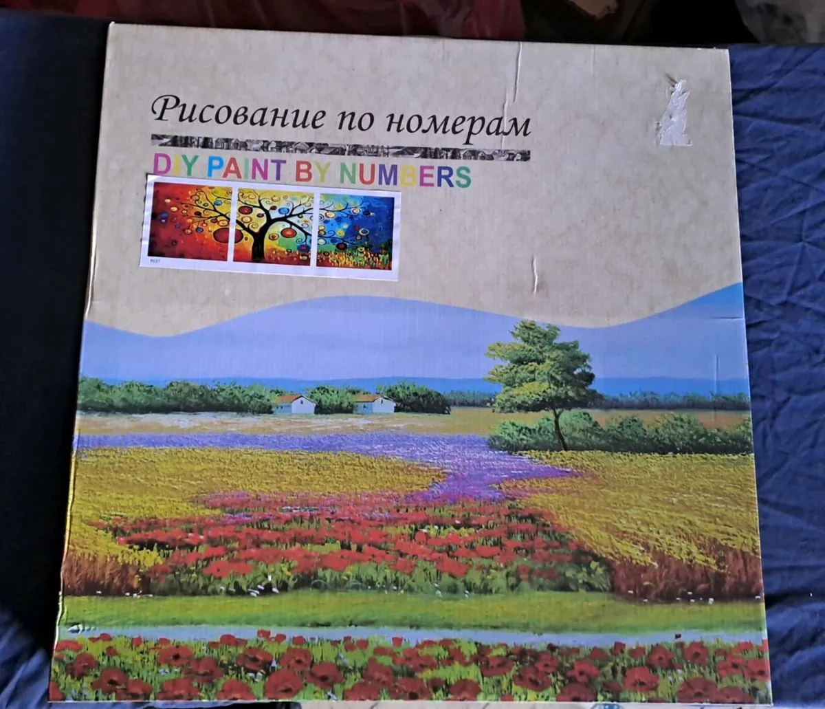 DIY Paint by Numbers Canvas Kit – New - Image 1