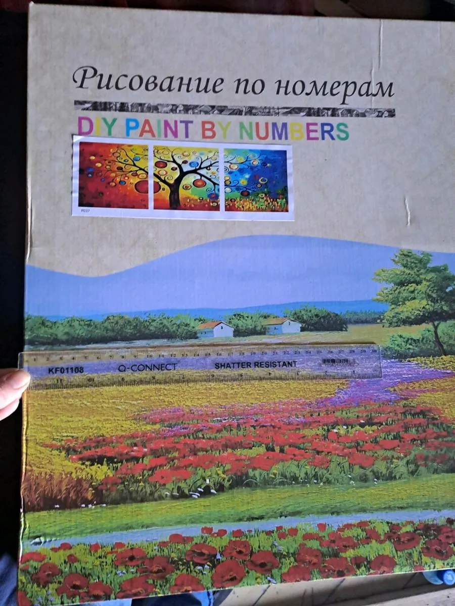 DIY Paint by Numbers Canvas Kit – New - Image 3