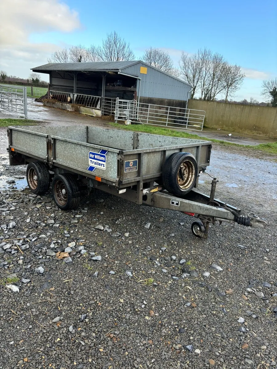 Iforwilliams 10x5,6 trailer - Image 1