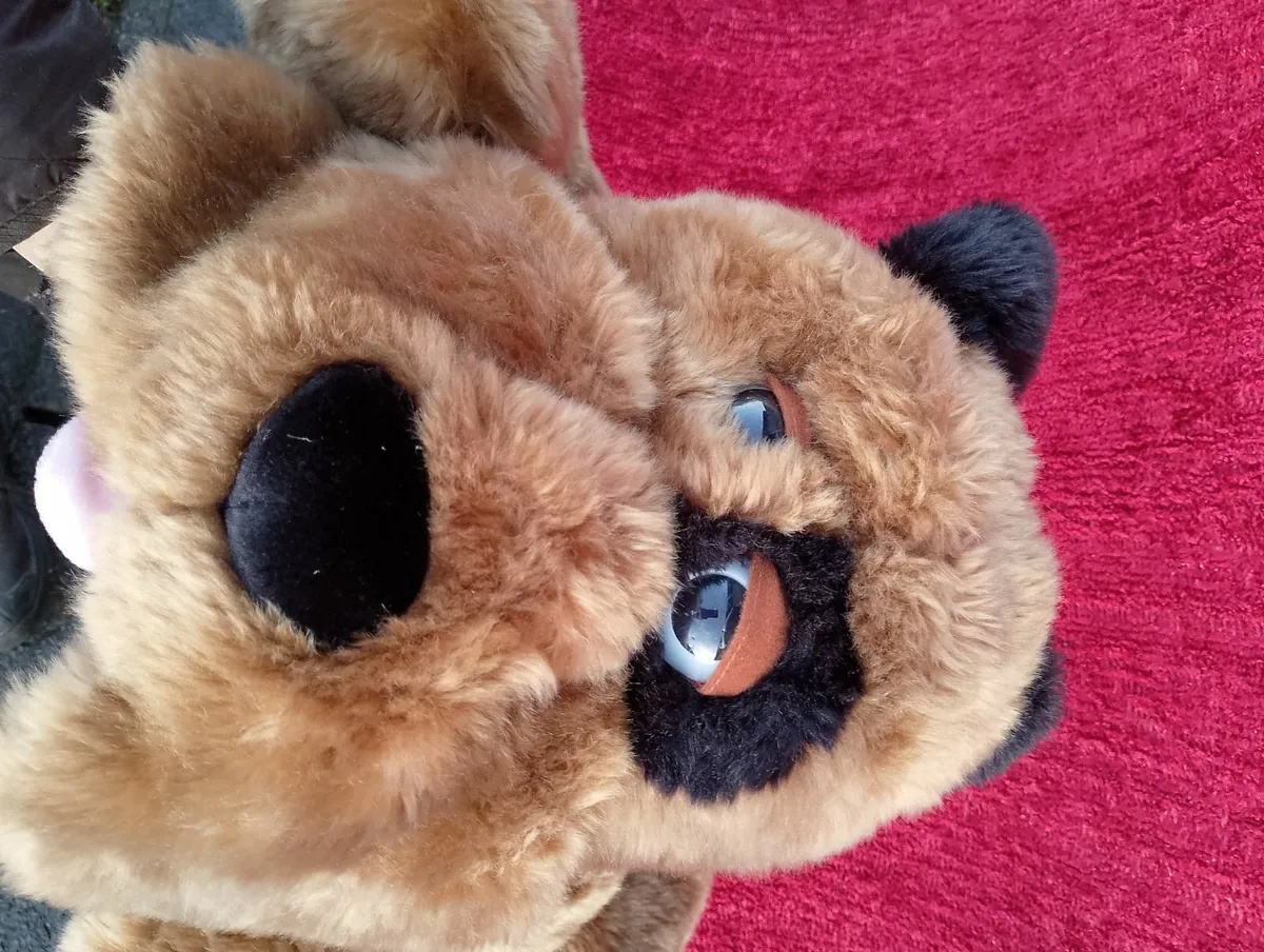 Large Plush Dog  (teddy) soft toy - Image 2