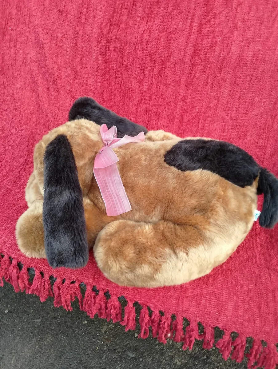 Large Plush Dog  (teddy) soft toy - Image 3