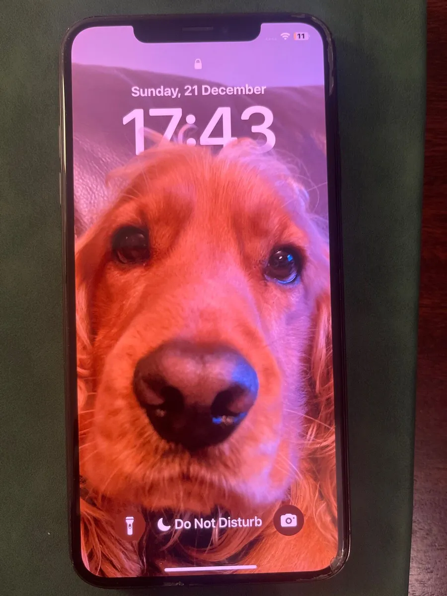 iPhone XS Max 256GB unlocked - Image 4