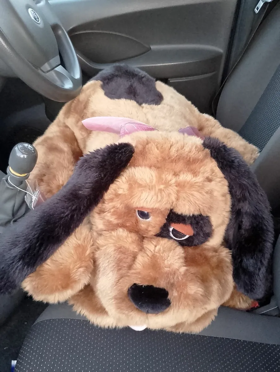 Large plush (teddy) 🐶 - Image 1