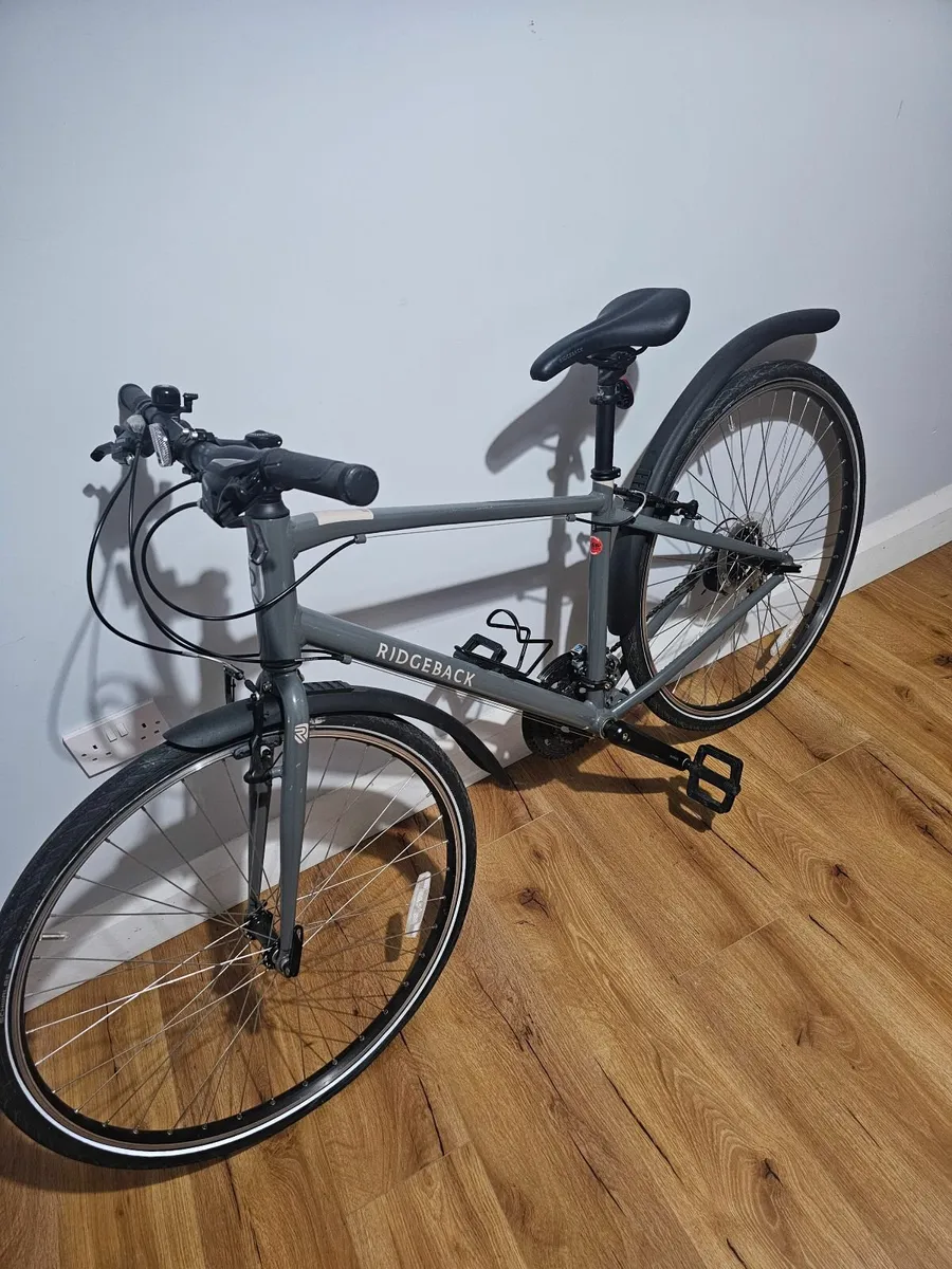 Bicycle Ridgeback bicycle had bought from Raw cycl - Image 4