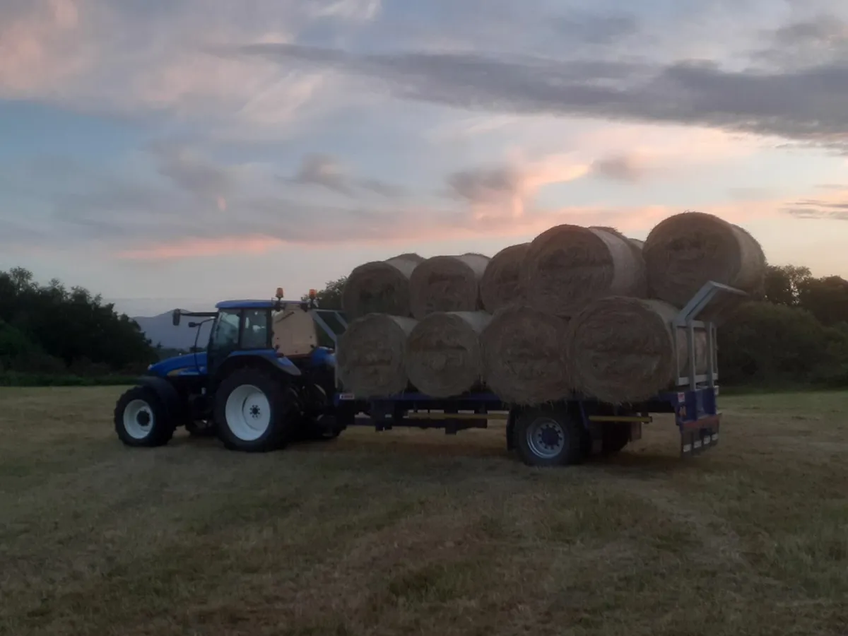 Bales of hay - Image 1