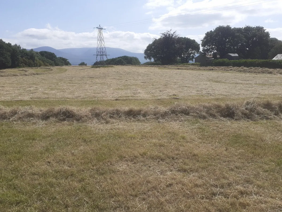 Bales of hay - Image 3