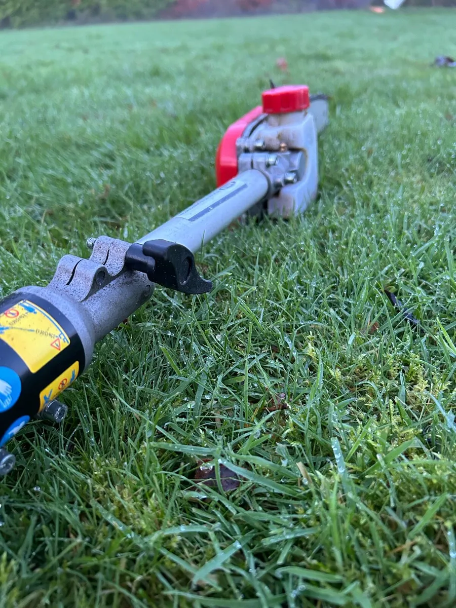 AMA PP.26.430 Telescopic Pole Saw - Image 3