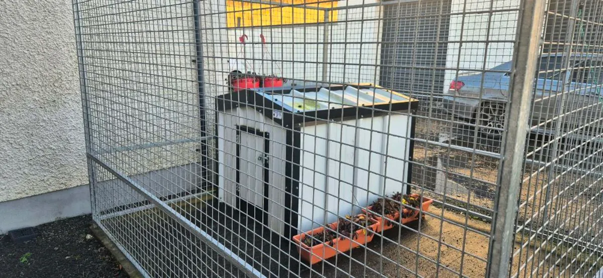 Dog pen and kennel - Image 1